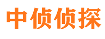 汤阴寻人公司